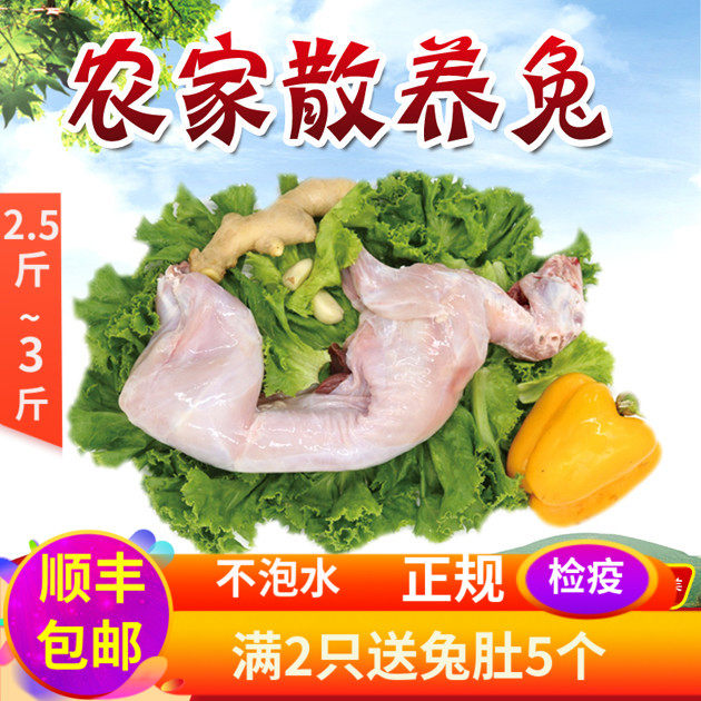 新鲜兔肉整只带头现杀兔子肉活兔农家散养兔真空装包邮2.5斤/只,水产肉类/新鲜蔬果/熟食,其它生肉制品,淘宝优惠券,粉丝福利购,淘宝优惠卷