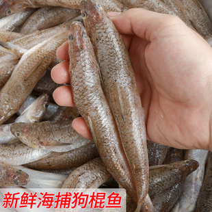 3斤装那哥鱼新鲜狗棍鱼海鲜狗母蛇鱼潮汕海鲜福建海鱼可做鱼肉丸