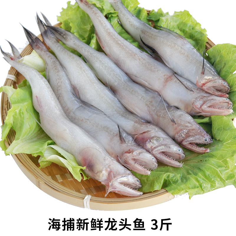 福建海鲜冷冻龙头鱼九肚鱼 豆腐鱼海鲜新鲜 细嫩鱼肉当天现捕包邮