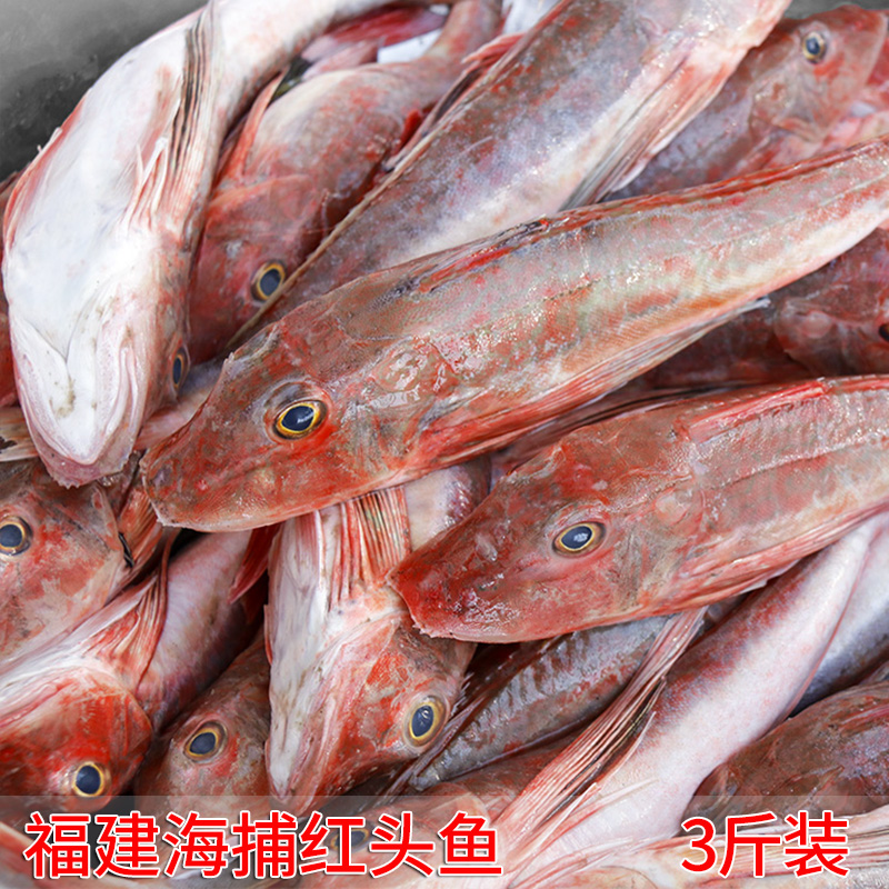 海捕新鲜红娘鱼海鲜红头鱼