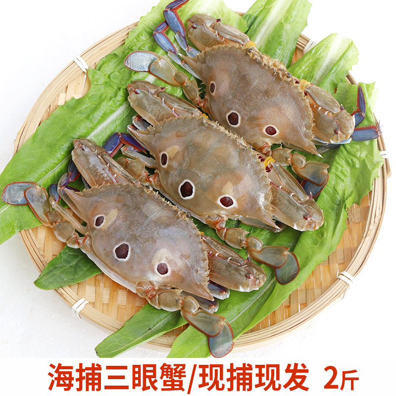 当天海捕海蟹三眼蟹三点蟹红膏野生船冻红星梭子蟹新鲜福建母螃蟹
