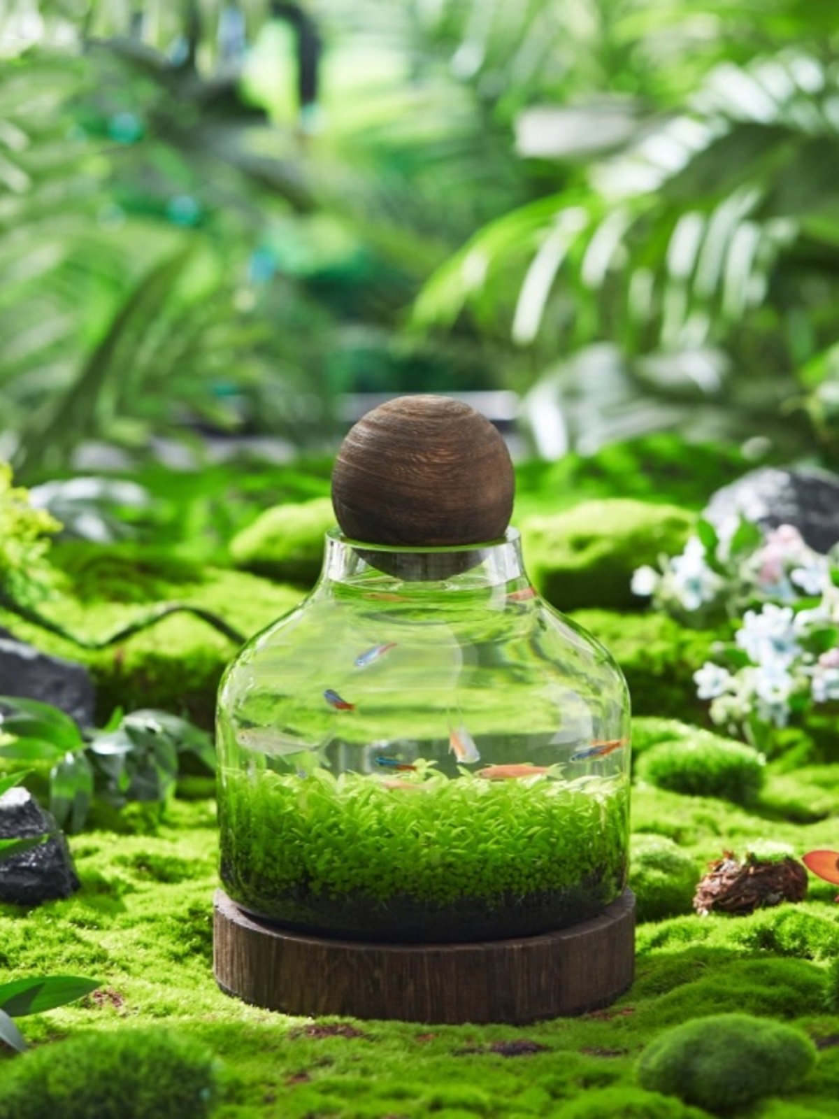 微景观生态鱼缸懒家人办室用阳造景创意圆形公玻璃缸桌面免台vpb