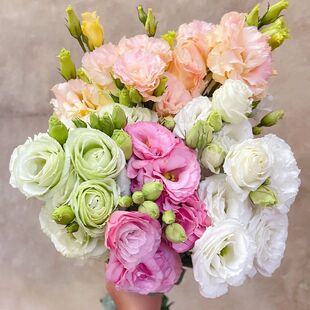 洋桔梗鲜花包邮直发搭云南插花束绿色洋桔梗组合混装家用花桔梗花