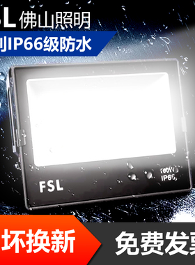 佛山照明led高亮50w防水广告泛光灯射灯户外工地大功率100w投光灯