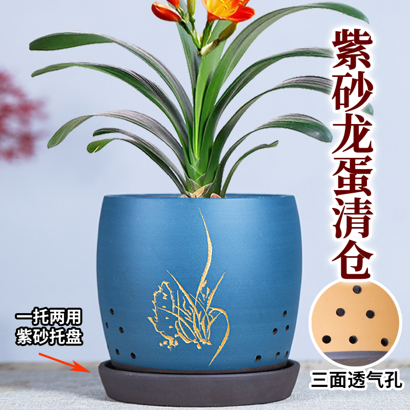 紫砂兰花盆蝴蝶兰文心兰君子兰兰草专用花盆透气盆栽陶瓷盆带底座