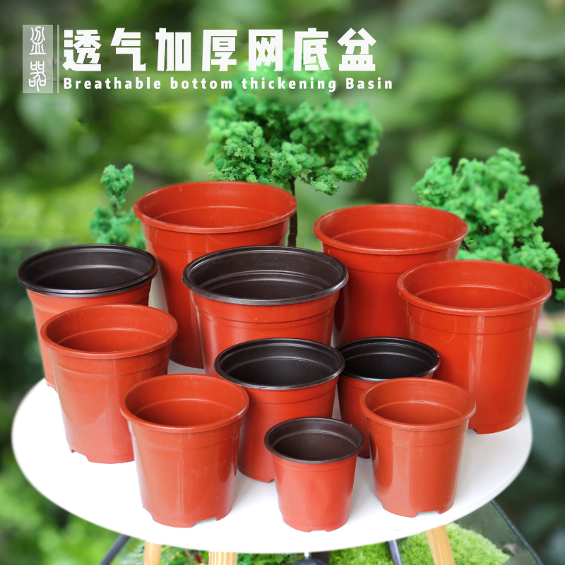 菜多美 育苗盆君子兰塑料花盆双色盆园艺用品育苗袋营养钵防烂根 Изображение 1 菜多美 育苗盆君子兰塑料花盆双色盆园艺用品育苗袋营养钵防烂根 Изображение 1