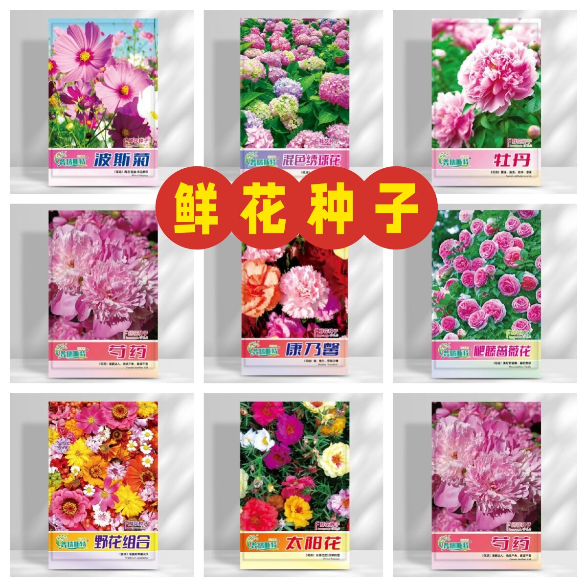 鲜花种子大全绣球波斯菊康乃馨牡蔬菜种子/种苗