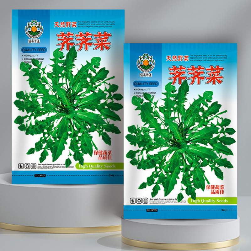 荠荠菜种子大叶阳四季菜籽香春季蔬菜种籽孑菜种荠菜野菜籽芨芨菜