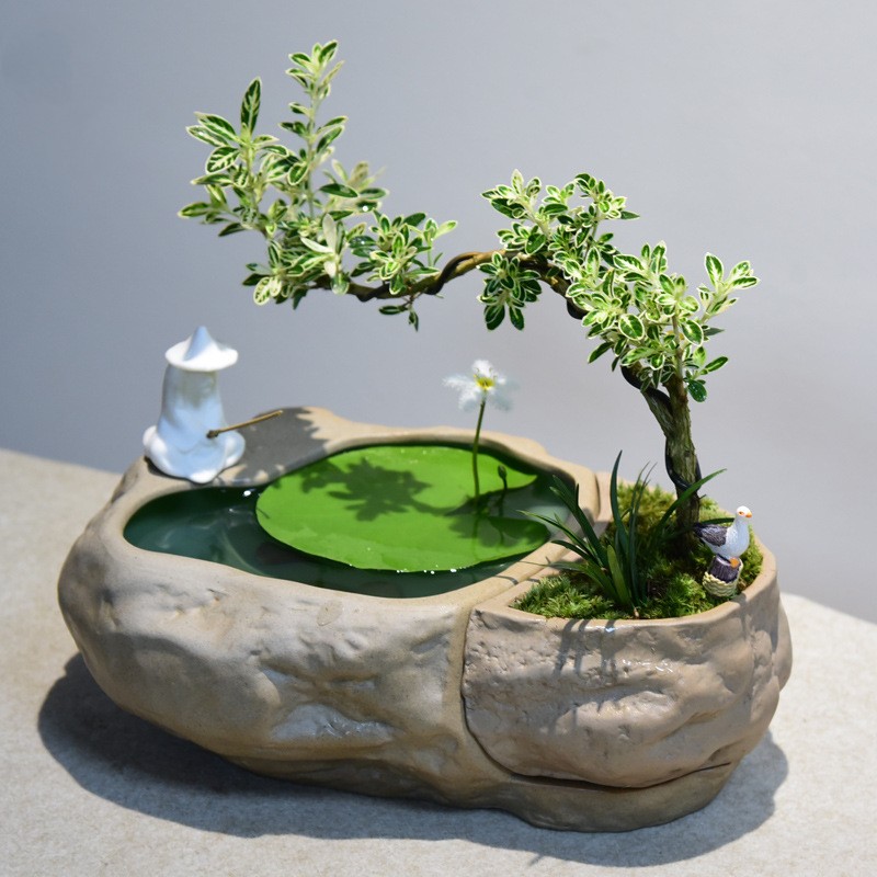 水陆组合盆景植物绿植文竹六月雪福建茶造型艺术雀梅盆栽室内水景