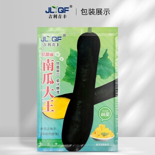 青丰南瓜大王种子超甜大吊瓜口感甜面肉厚黑狼长南瓜高产蔬菜种籽
