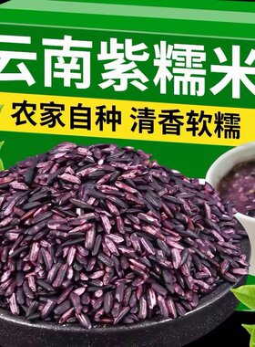 云南墨江紫米新米10斤紫色糯米紫糯米无染色非血糯米粽子商用批发