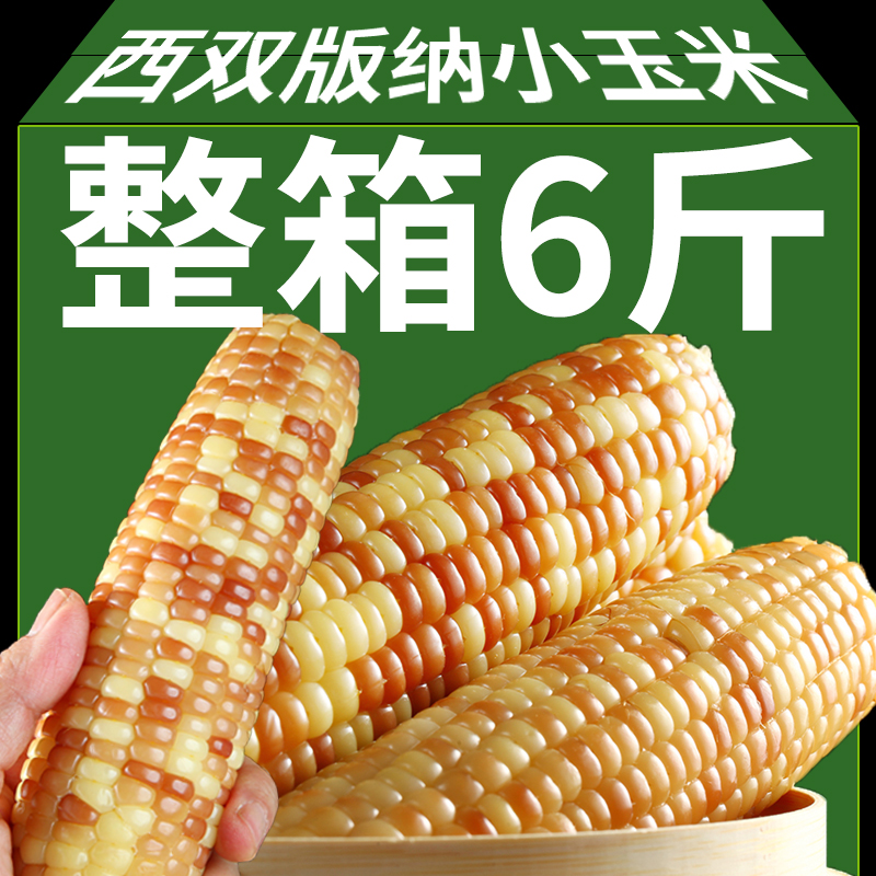 云南西双版纳香糯小玉米5斤新鲜花糯甜糯玉米棒真空开袋即食早餐