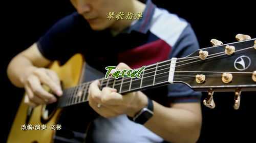 琴歌指弹Tassel讲解
