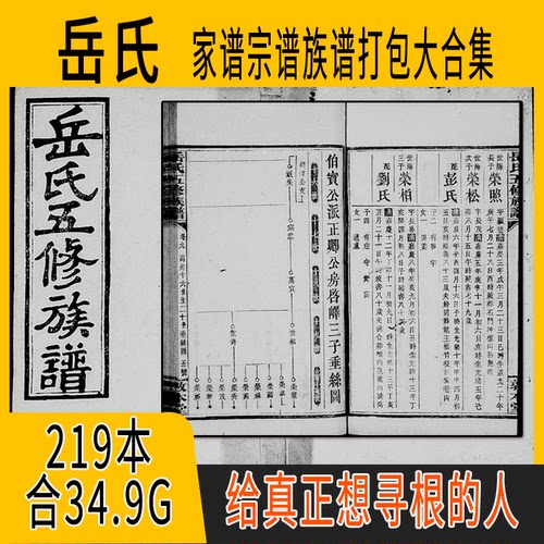 岳氏家谱 岳氏族谱  岳氏宗谱 岳姓祖谱寻根溯源研究收藏集合打包