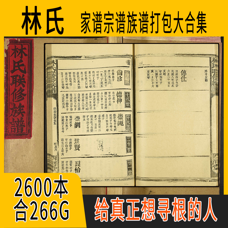 林氏家谱 林氏族谱  林氏宗谱 林姓祖谱寻根溯源研究收藏集合打包