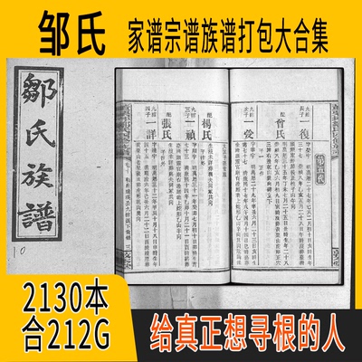 邹氏家谱 邹氏族谱  邹氏宗谱 邹姓祖谱寻根溯源研究收藏集合打包
