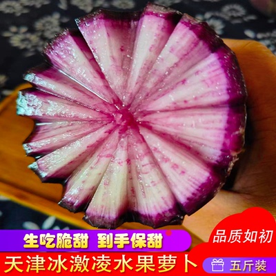 天津冰激凌萝卜正宗特产新鲜生吃绿皮青大水果萝卜脆甜5斤