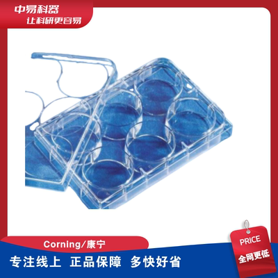 康宁corning-Costar细胞培养板 3516/3513/3524/3599/3799培养板