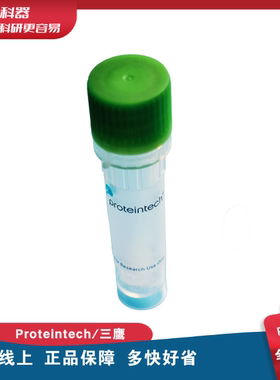 HO-1/HMOX1 Polyclonal antibody