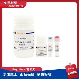 P0012S 碧云天 Beyotime P0012 BCA蛋白浓度测定试剂盒