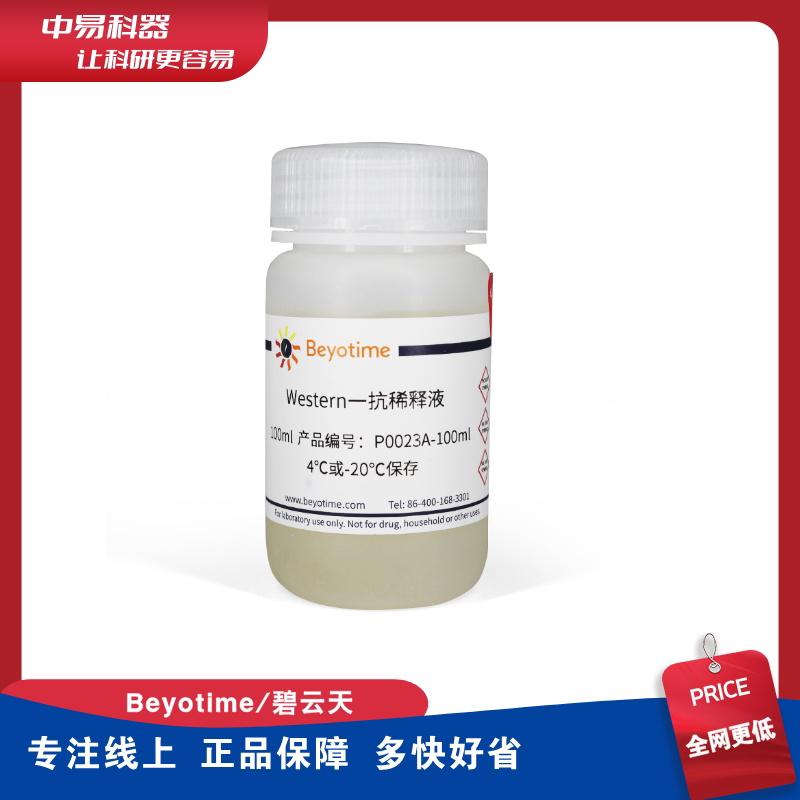 碧云天P0023A Western一抗稀释液 P0023A-100ml  P0023A-500ml
