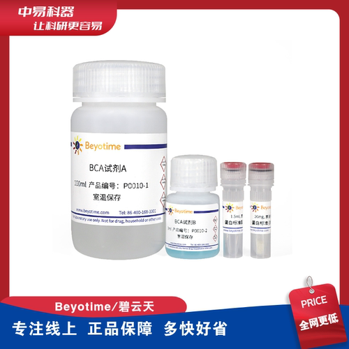 P0010SBCA试剂盒Beyotime/碧云天