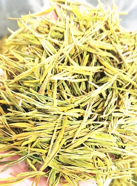 现货安吉黄金芽黄金叶2024年新安吉白茶叶高山春茶绿茶500克4罐装