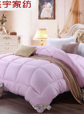 盛宇家纺 四季通用被子单双人空调被春秋冬学生宿舍