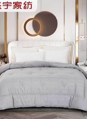 盛宇家纺 2026春夏新品 全棉提花大豆立体二合一被芯220*240 灰色