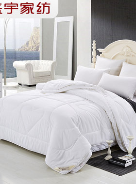 盛宇冬季加厚被子母被芯冬被子春秋四季通用单人宿舍冬被成人