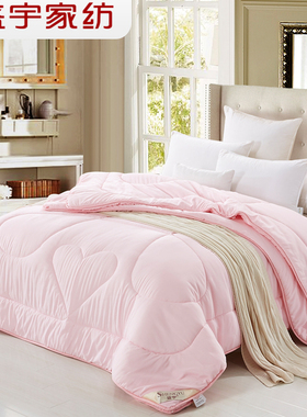 盛宇家纺加厚保暖冬被二合一子母被芯四季通用薄被子春秋冬季双人