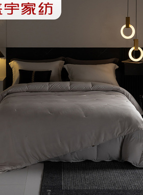 盛宇家纺 2026春夏新品 莱伊蚕丝羽绒二合一 220*240/1100g 灰色