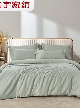 盛宇家纺 全棉纯棉简约风纯色1.5m1.8m四件套床品床单双人 简然 W