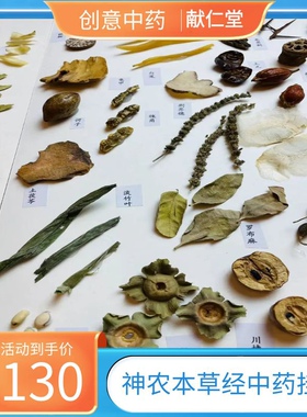 神农本草经系列中药材挂画中药装饰画倪师严正华