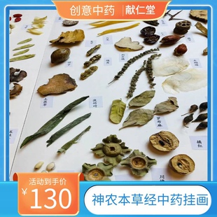 神农本草经系列中药材挂画中药装饰画倪师严正华