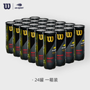 专业训练球 正品 Wilson威尔胜24筒装 比赛网球配件有压球耐打整箱装