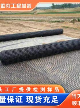 双向钢塑-土格栅G8SGS100-100钢工塑格栅GSZ0DPG80高强钢塑土工格