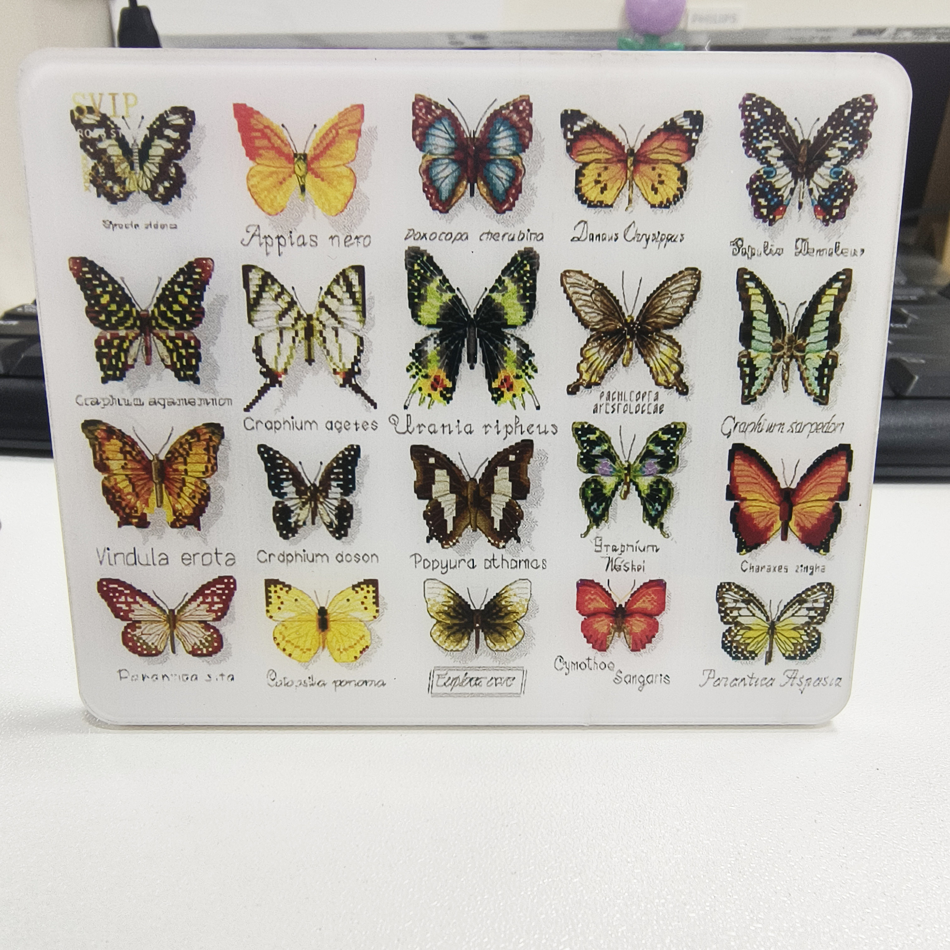 【针吸】ks十字绣针吸线排线板工具配件新品吸针好看好用,居家布艺,其他/配件/DIY/缝纫,淘宝优惠券,粉丝福利购,淘宝优惠卷