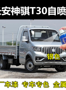 长安神骐T10T20T30货箱载货车银灰色自喷漆划痕防锈修复漆补漆笔