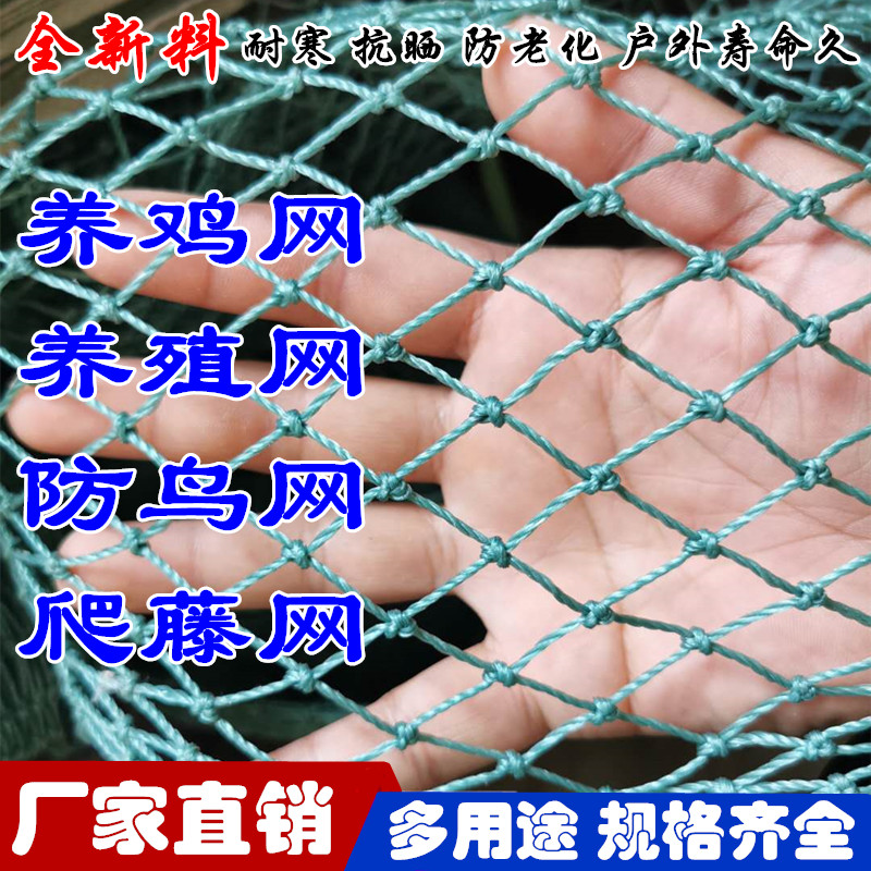 养殖网养鸡网尼龙网围家禽塑料网