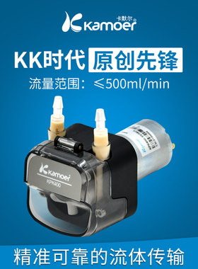 卡默尔蠕动泵微型恒流泵小型自吸泵实验室水泵定量流量pump抽水泵