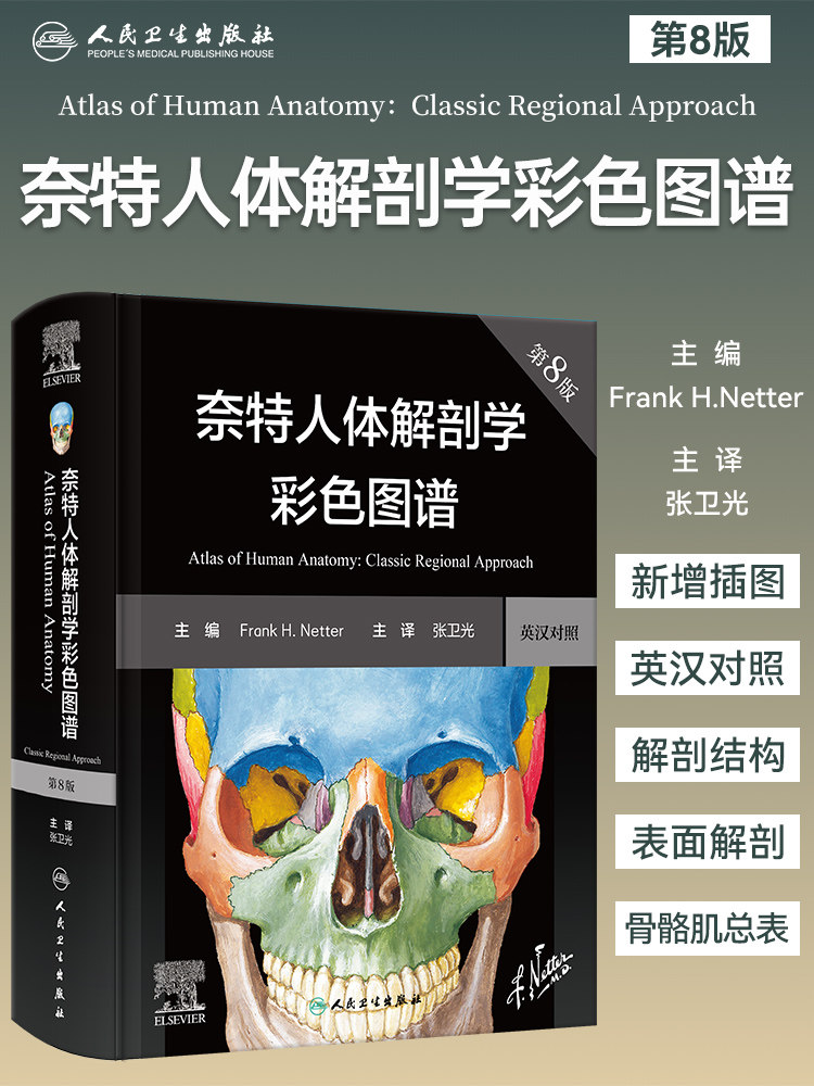 奈特人体解剖学图谱 第8版彩色神经系统肌肉骨骼生理学基础肌动学尸变