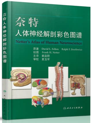 奈特人体神经解剖彩色图谱 (美)费尔腾 神经解剖 解剖学图谱 人体解剖书 医学解剖图谱 人体解剖学彩色图谱 人民卫生出版社