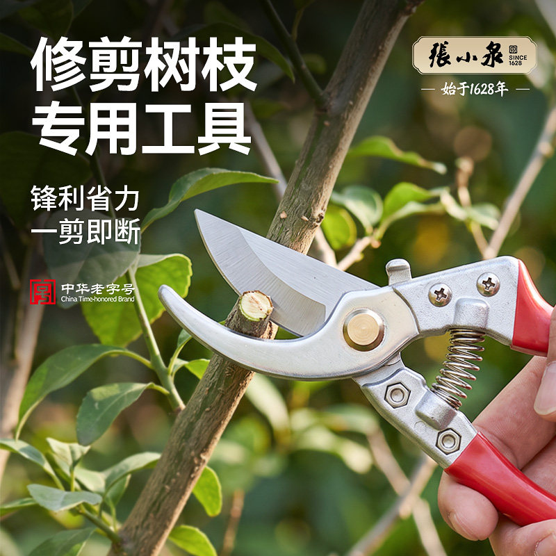 张小泉修剪树枝专用工具SK5钢花卉修枝剪盆景绿植剪园艺摘果剪