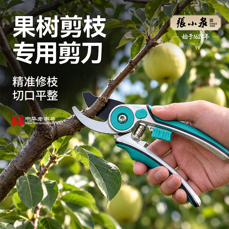 张小泉果树剪枝专用剪刀SK5钢园艺剪刀果树绿植修枝剪采摘工具