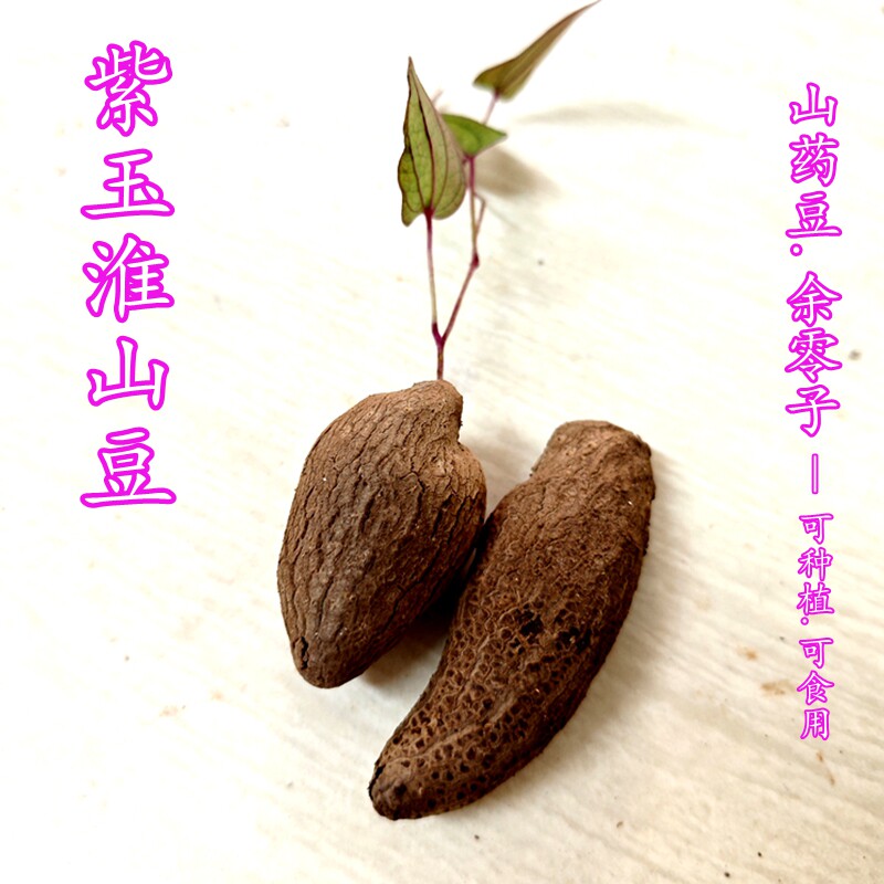 正宗紫玉淮山豆 种植用小叶淮山紫色山药种子长条可食用农家蔬菜,水产肉类/新鲜蔬果/熟食,新鲜山药,淘宝优惠券,粉丝福利购,淘宝优惠卷