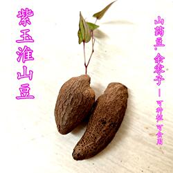 正宗紫玉淮山豆 种植用小叶淮山紫色山药种子长条可食用农家蔬菜