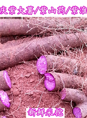 现挖紫山药 新鲜德庆紫大薯紫淮山紫淮山长山药应季农家蔬菜2025B