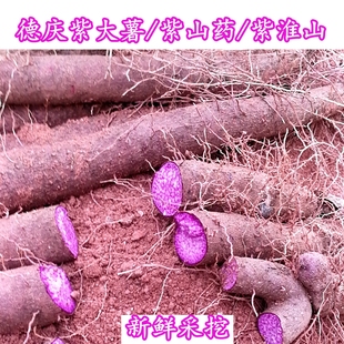现挖紫山药 农家蔬菜2025B 新鲜德庆紫大薯紫淮山紫淮山长山药应季
