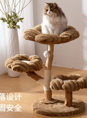 哼尼花朵猫爬架可爱高颜值实木环保架子小型多层猫窝猫树猫跳台